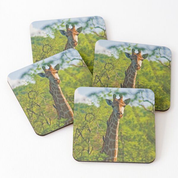 Item preview, Giraffe (Giraffa camelopardalis) designed and sold by Out there! Photography.