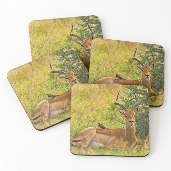 Item preview, Impala and Red-billed Oxpecker designed and sold by Out there! Photography.