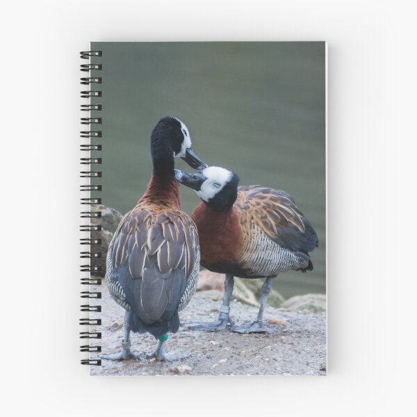 Item preview, Two White faced Whistling ducks. designed and sold by Sara Sadler.
