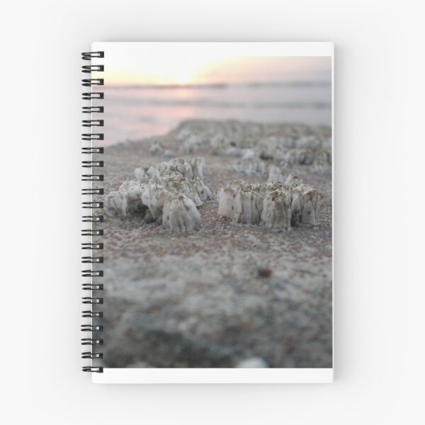 Item preview, Barnacles designed and sold by neilirving.