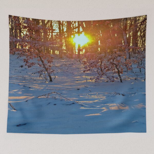 Item preview, Golden sun in the backlight in the winter forest designed and sold by frankuffmann.