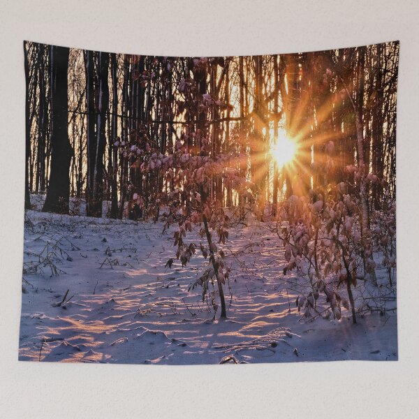 Item preview, Golden sun star in the winter forest designed and sold by frankuffmann.
