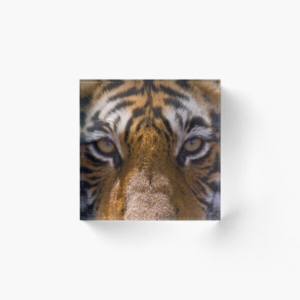 Item preview, I am watching you! designed and sold by Out there! Photography.
