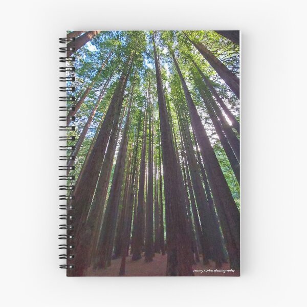 Item preview, Californian Redwood Trees - Otways NP (104051) designed and sold by Emmy Silvius.