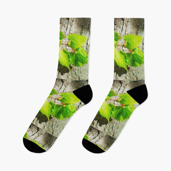 Item preview, A branch of new life on a bright spring day, natural background  designed and sold by helenkaiy.