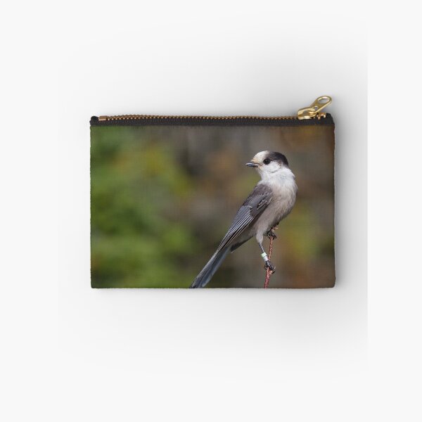Item preview, Gray Jay in Algonquin Park designed and sold by James Cumming.