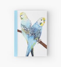 Blue Boys Hardcover Journal