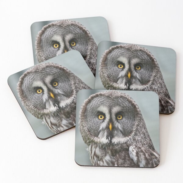 Item preview, Great Grey Owl (Strix nebulosa) designed and sold by Steve Liptrot Photography.