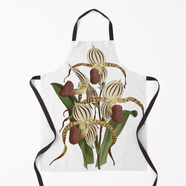 Item preview, Paphiopedilum stonei (orchid) designed and sold by Ecologos.