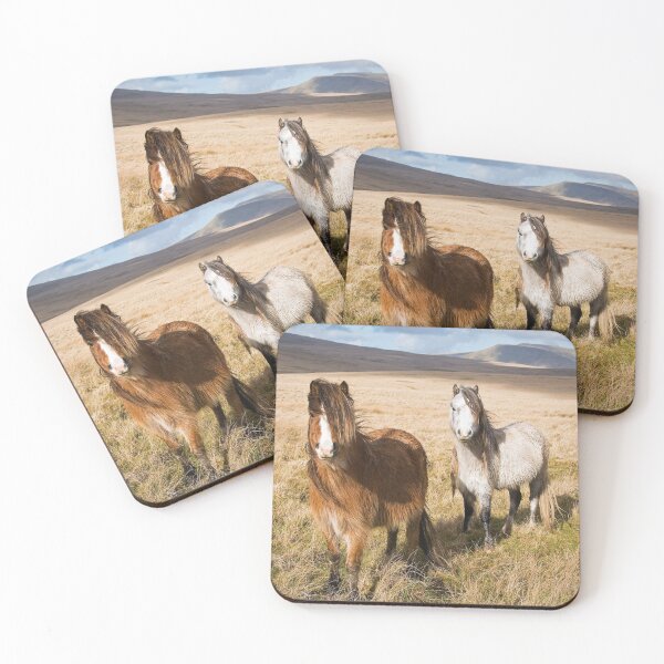 Item preview, Welsh Mountain Ponies in the Brecon Beacons designed and sold by Steve Liptrot Photography.