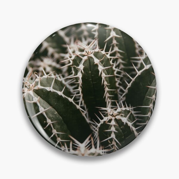 Item preview, Cactus Pattern Photography designed and sold by gamboling.