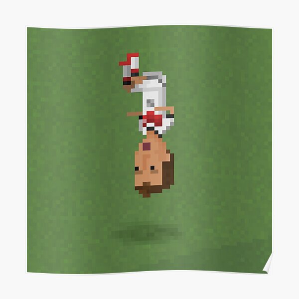 Front Flip Poster