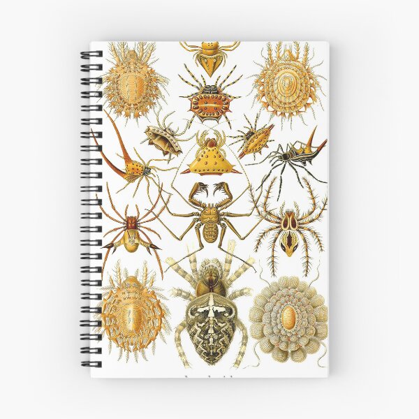 Item preview, Arachnida by Haeckel designed and sold by Ecologos.