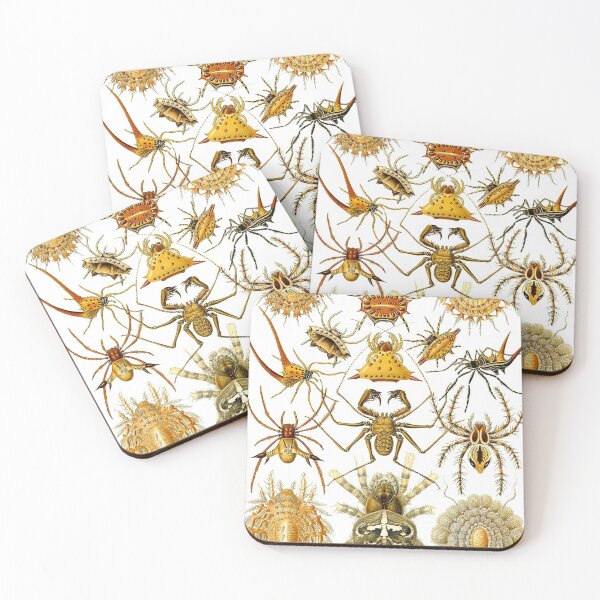 Item preview, Arachnida by Haeckel designed and sold by Ecologos.