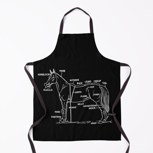 Item preview, Horse anatomy designed and sold by Calimax61.
