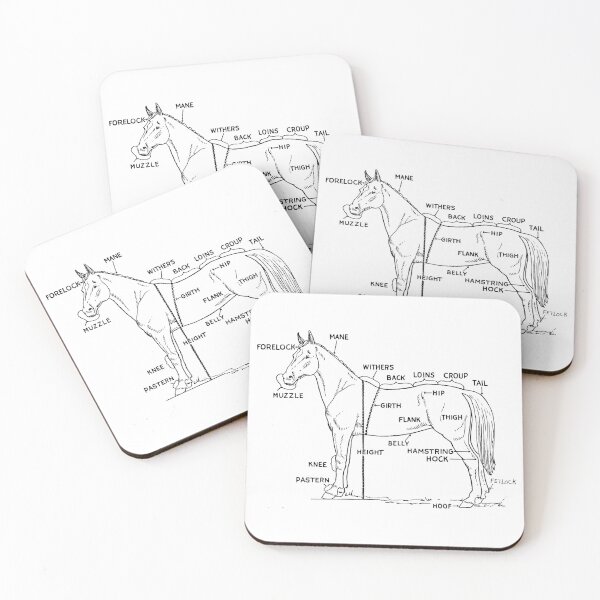 Item preview, Horse anatomy designed and sold by Calimax61.