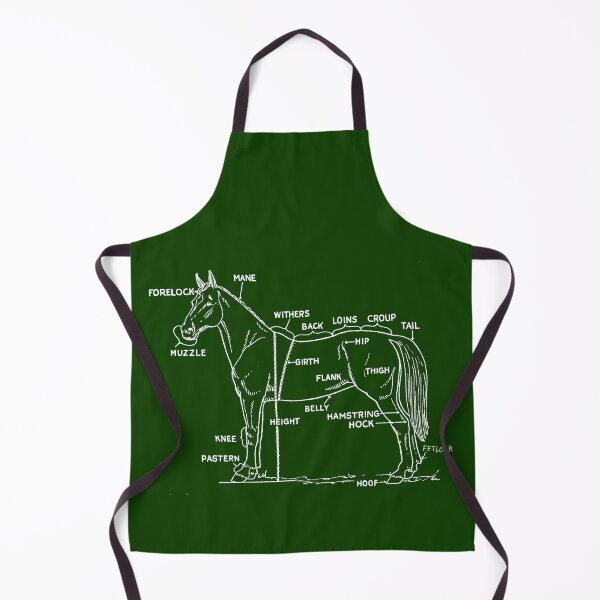 Item preview, Horse anatomy designed and sold by Calimax61.