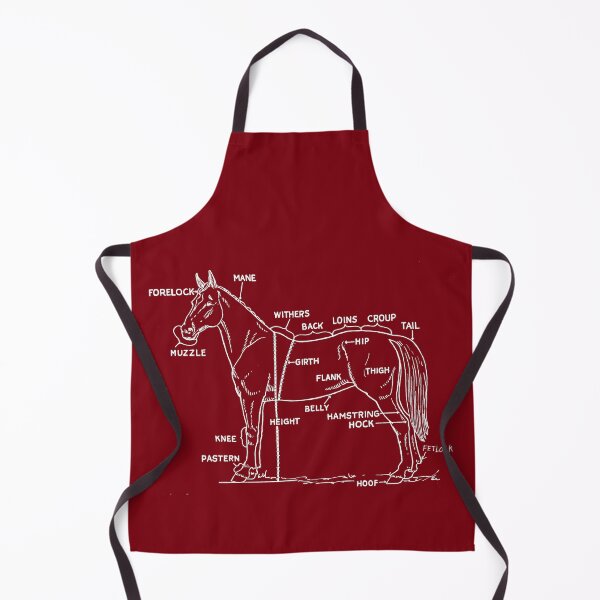Item preview, Horse anatomy designed and sold by Calimax61.