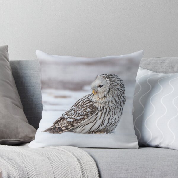 Item preview, Ural Owl designed and sold by Steve Liptrot Photography.