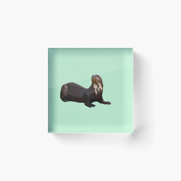 Artikelvorschau,  Riesenotter-Farbdruck entworfen und verkauft von designsasstultd.
