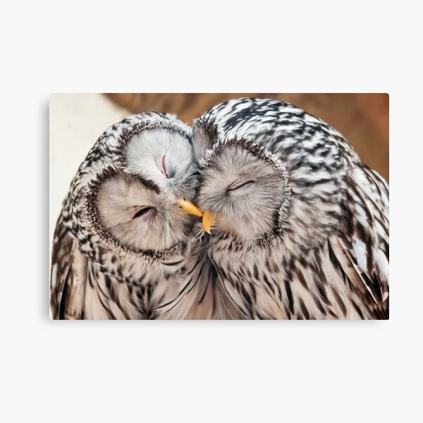 Love is.... Canvas Print