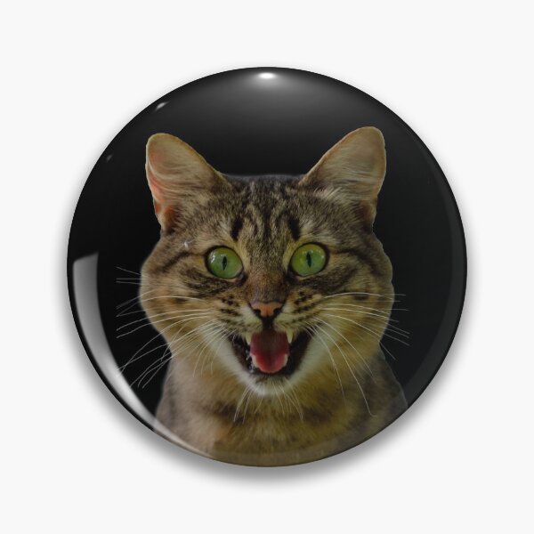 Item preview, GIDDY CAT, LET'S HAVE SOME FUN designed and sold by Danicus666.
