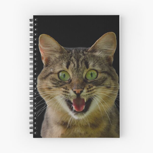 Item preview, GIDDY CAT, LET'S HAVE SOME FUN designed and sold by Danicus666.
