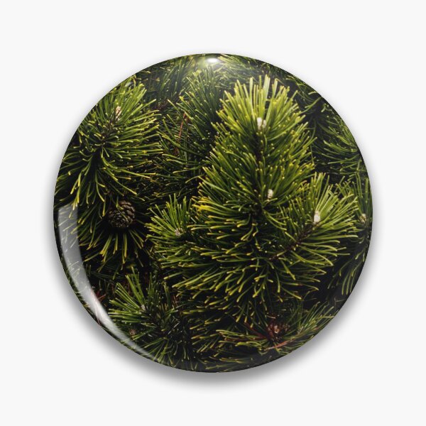 Item preview, Close up of Green pine tree, bush, fir tree - background texture designed and sold by Michaelerch.