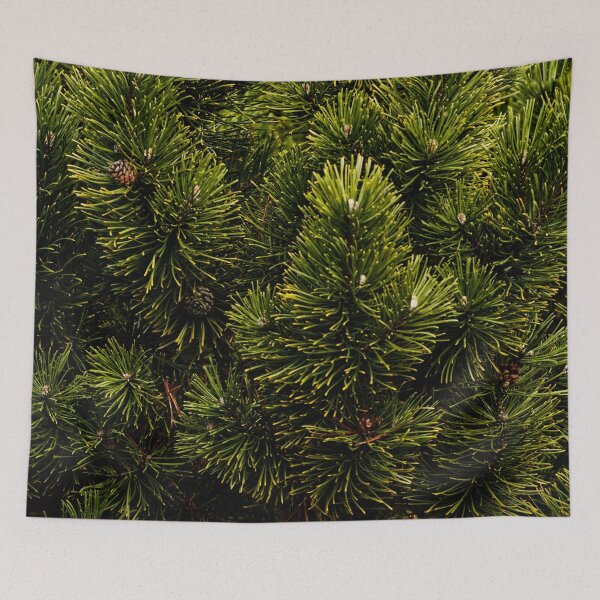 Item preview, Close up of Green pine tree, bush, fir tree - background texture designed and sold by Michaelerch.