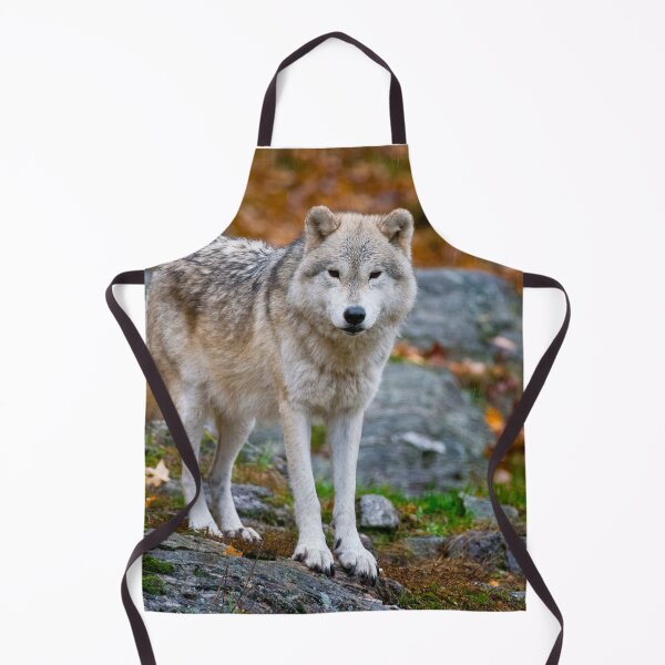 Item preview, Arctic Wolf designed and sold by Michael Cummings.