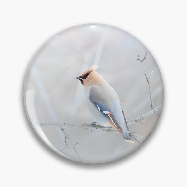 Item preview, Bohemian Waxwing designed and sold by James Cumming.