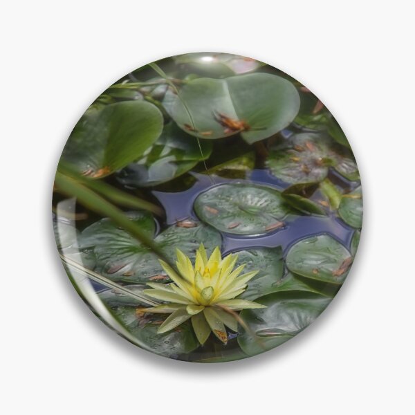 Item preview, USA. New Jersey. Grounds for Sculpture Park. Water Lilies. designed and sold by vadim19.