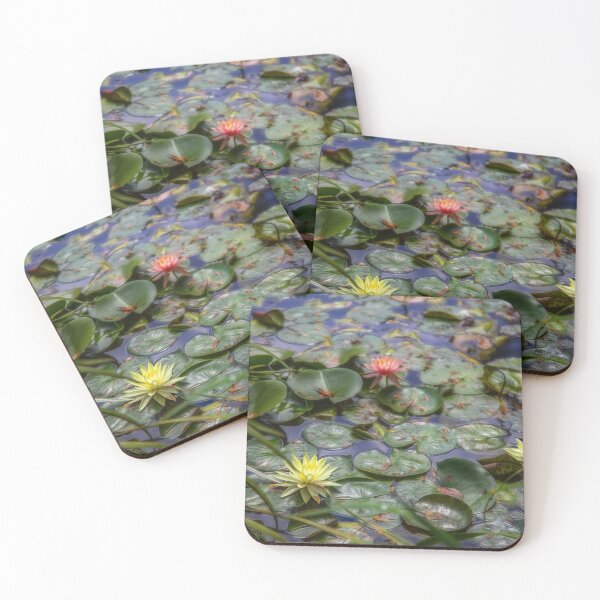 Item preview, USA. New Jersey. Grounds for Sculpture Park. Water Lilies. designed and sold by vadim19.