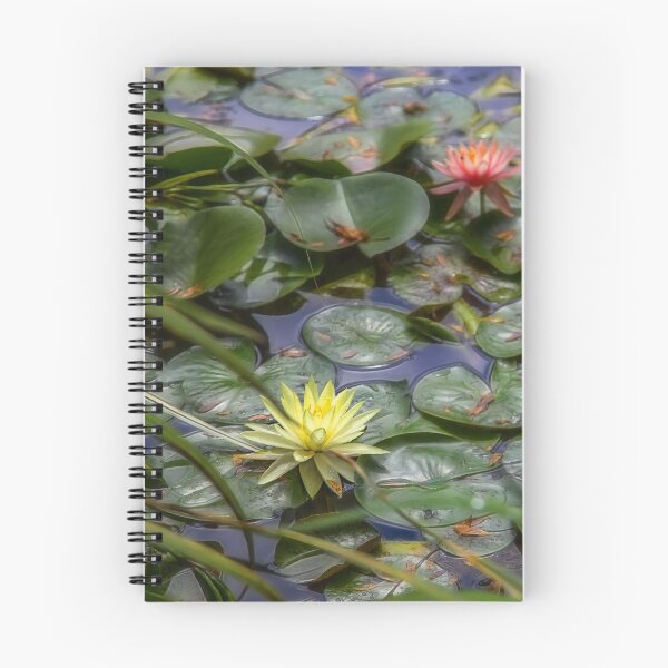 Item preview, USA. New Jersey. Grounds for Sculpture Park. Water Lilies. designed and sold by vadim19.