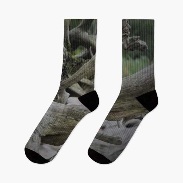 Item preview, Twisted Tree Roots designed and sold by PowderLanePress.
