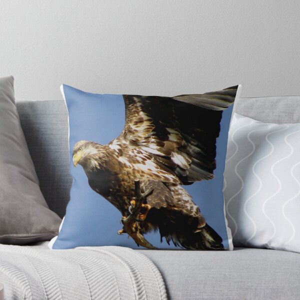 Item preview, Taking Off designed and sold by Jan Landers.