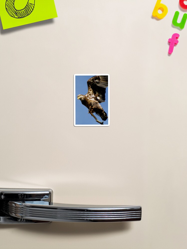 Thumbnail 1 of 3, Magnet, Taking Off designed and sold by TurtleDove.