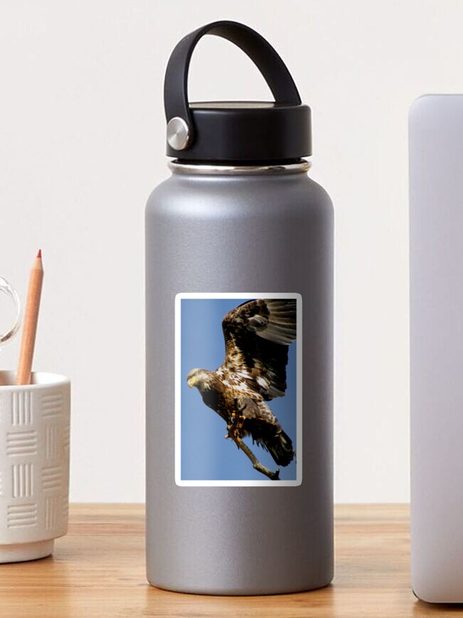 Thumbnail 1 of 3, Sticker, Taking Off designed and sold by TurtleDove.