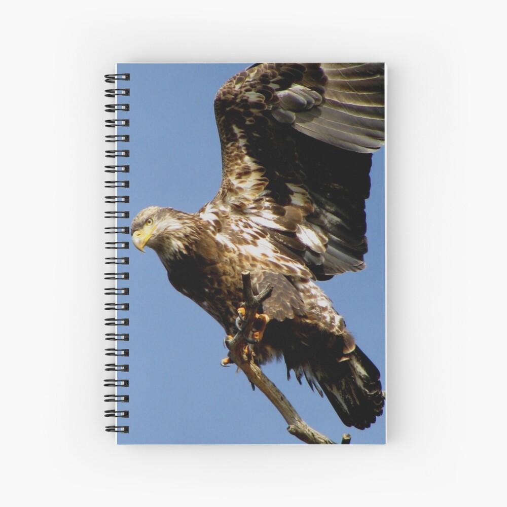 Item preview, Spiral Notebook designed and sold by TurtleDove.