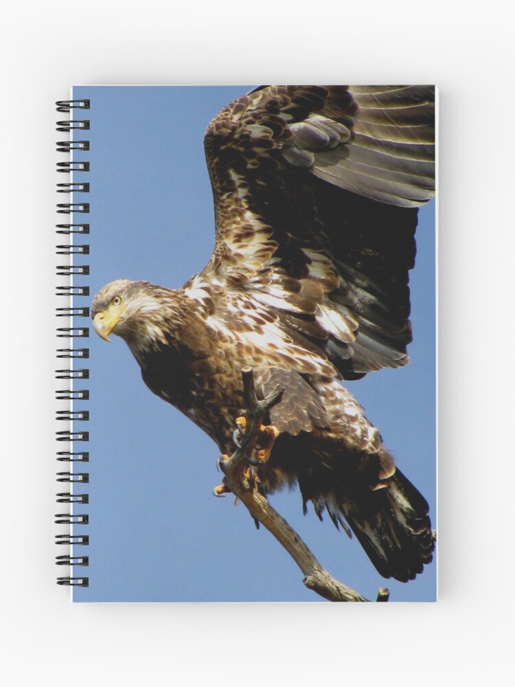 Thumbnail 1 of 3, Journal, Taking Off designed and sold by TurtleDove.