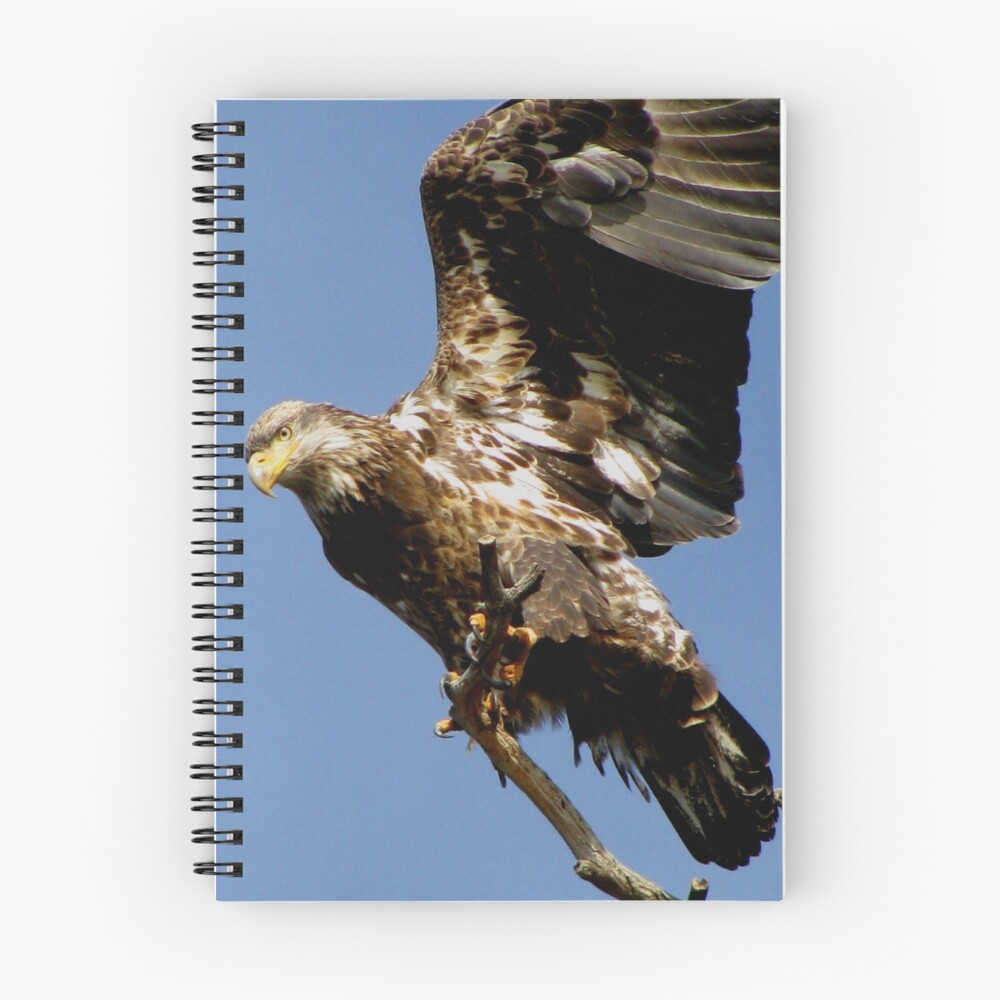 Item preview, Spiral Notebook designed and sold by TurtleDove.