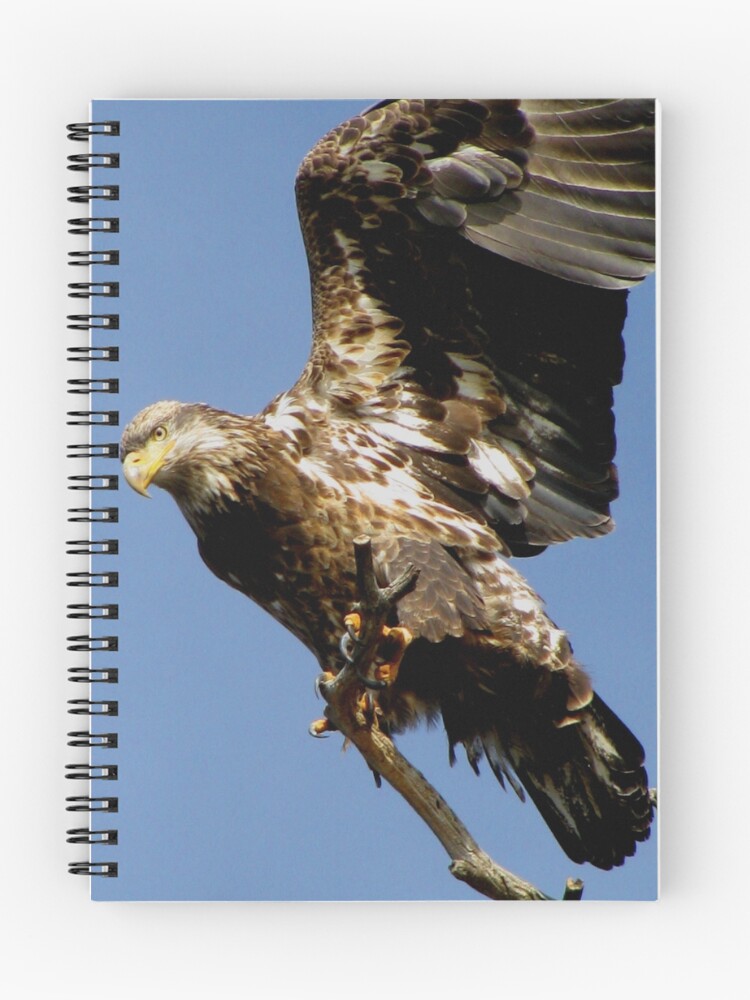 Thumbnail 1 of 3, Journal, Taking Off designed and sold by TurtleDove.