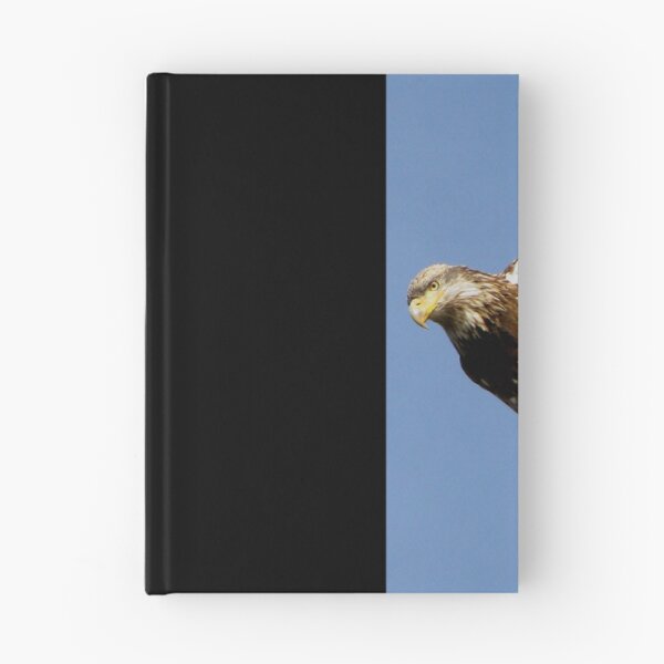 Item preview, Taking Off designed and sold by Jan Landers.