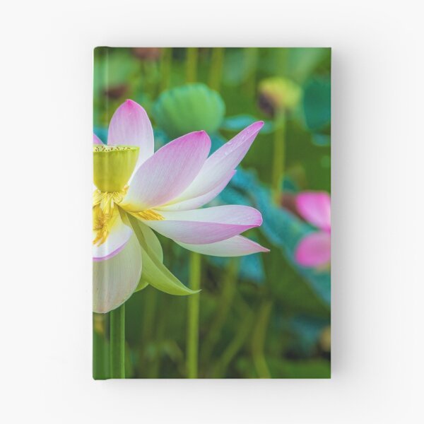 Item preview, USA. New Jersey. Grounds for Sculpture Park. Lotus. designed and sold by vadim19.