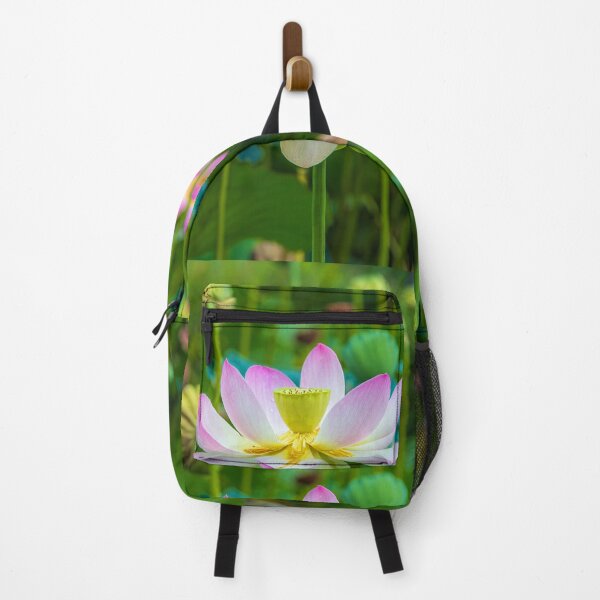 Item preview, USA. New Jersey. Grounds for Sculpture Park. Lotus. designed and sold by vadim19.