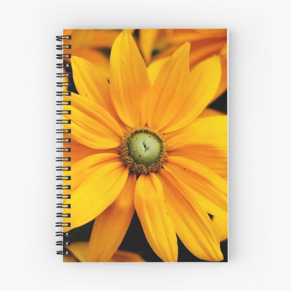 Item preview, Close up of yellow and orange Daisy flower head in summer designed and sold by Michaelerch.