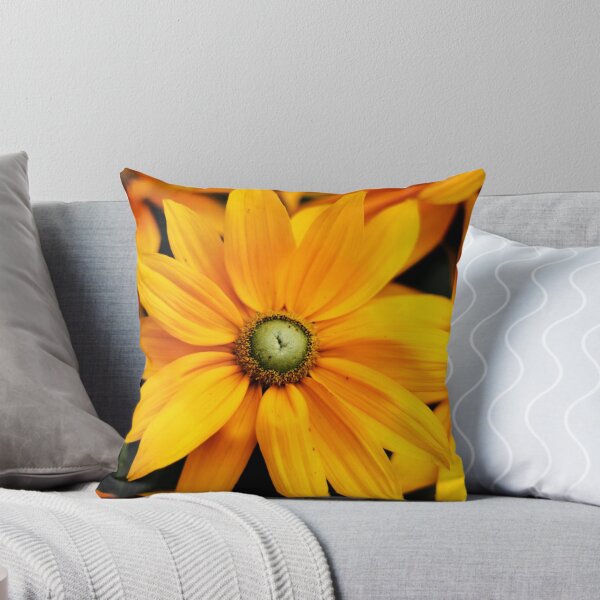 Item preview, Close up of yellow and orange Daisy flower head in summer designed and sold by Michaelerch.