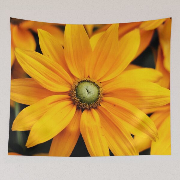 Item preview, Close up of yellow and orange Daisy flower head in summer designed and sold by Michaelerch.