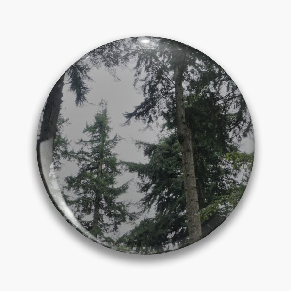 Artikelvorschau, Hoch aufragende Bäume im New Forest, England entworfen und verkauft von PowderLanePress.