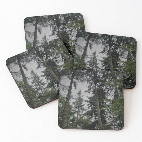 Item preview, Towering Trees in the New Forest, England designed and sold by PowderLanePress.